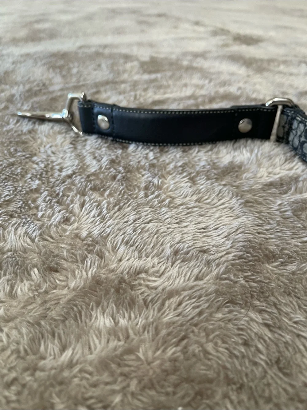 Coach stylish signature